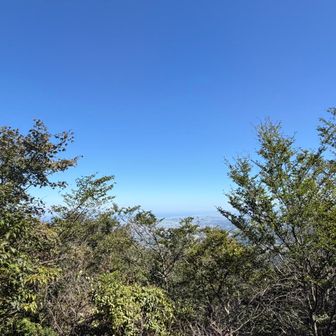 景色が見える！知らんかったなー。