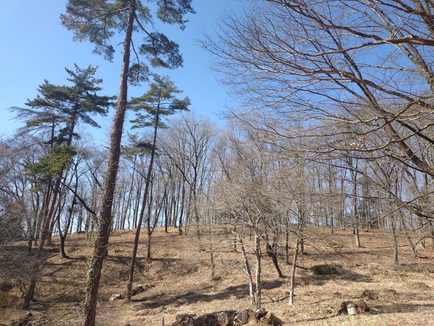 青空で風もなく…
穏やかな公園☀🎶