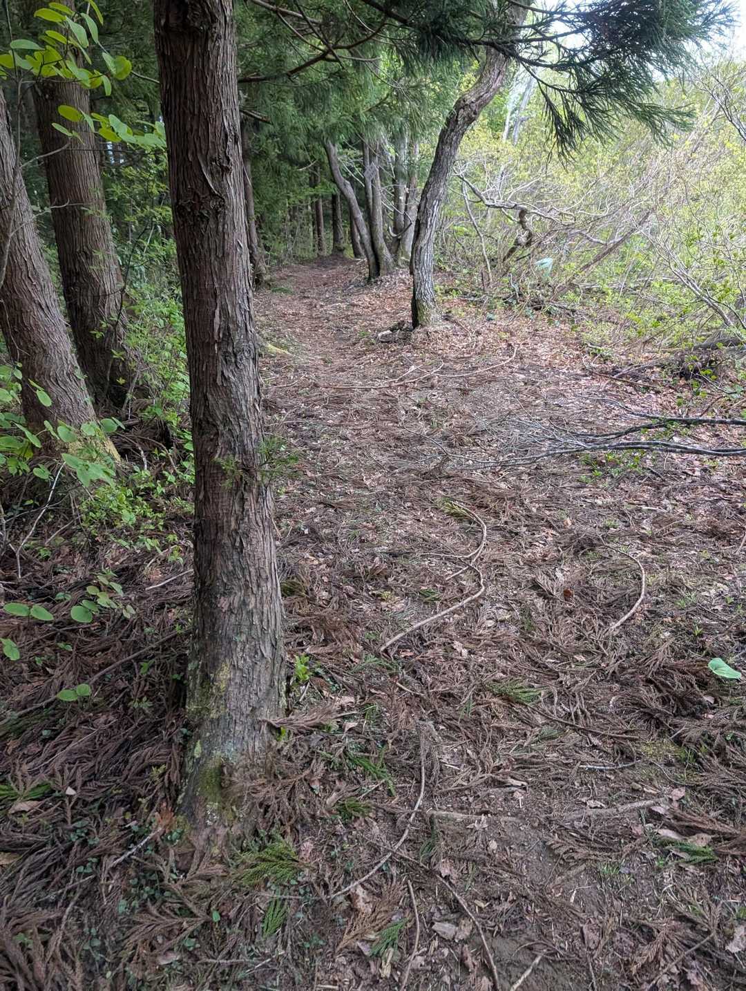 走って下山します🏃