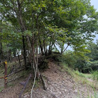 少しわかりにくい。両脇道だが真ん中を登っていく。