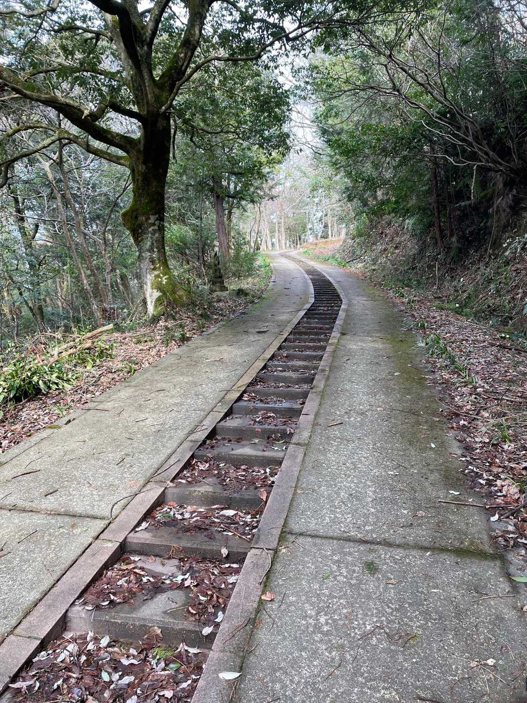 始まり