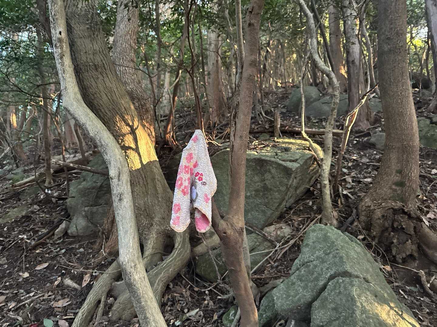 まだトトロのハンカチあるよー
大事なやつっぽいのに