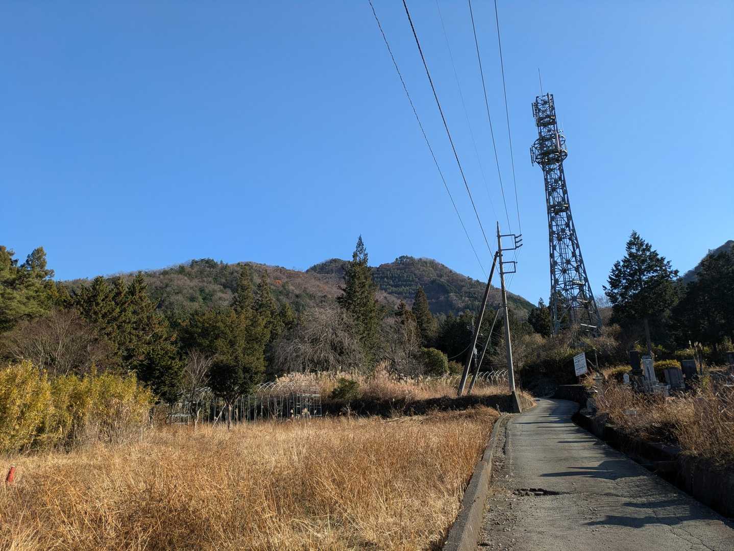 こちらが今日登る高川山。