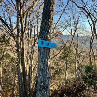 峯山頂、今回1番の展望