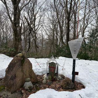 ここが山頂　らしい