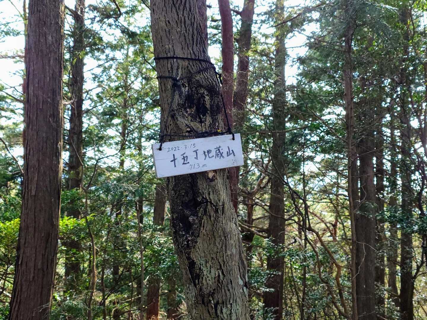グレーピーク、十五丁地蔵山に到着 ‼️
保護者は登って来ず分岐で待機✨
短い距離ですがトレランをしてしまいました。明日、立てるかな 😅 😅