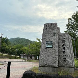 雨が降ってきた…💧