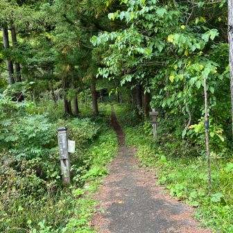 キリンテ登山口。