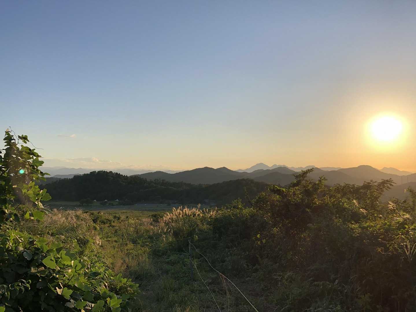西の原登山口-男三瓶山 往復コースの写真