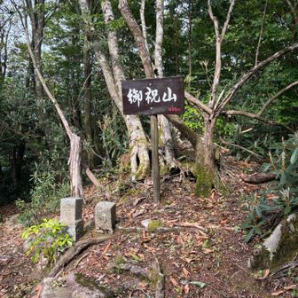 ここから地獄の下りが始まる…