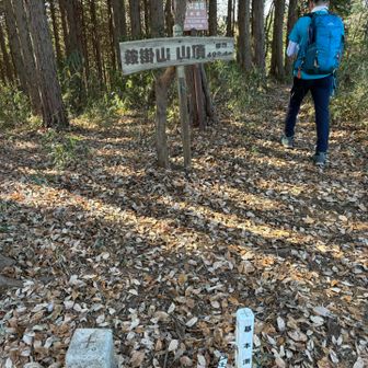 鞍掛山山頂に到着😊