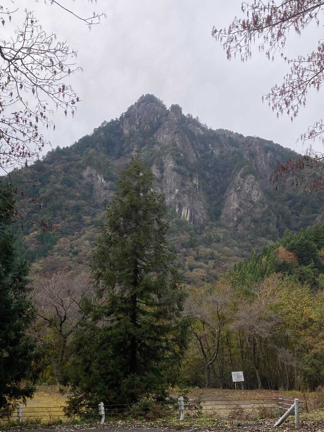 イイネ♪