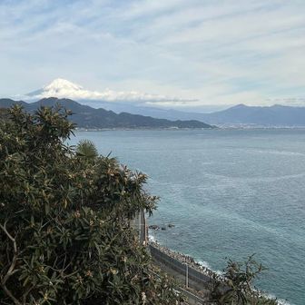 富士山の右は愛鷹山。