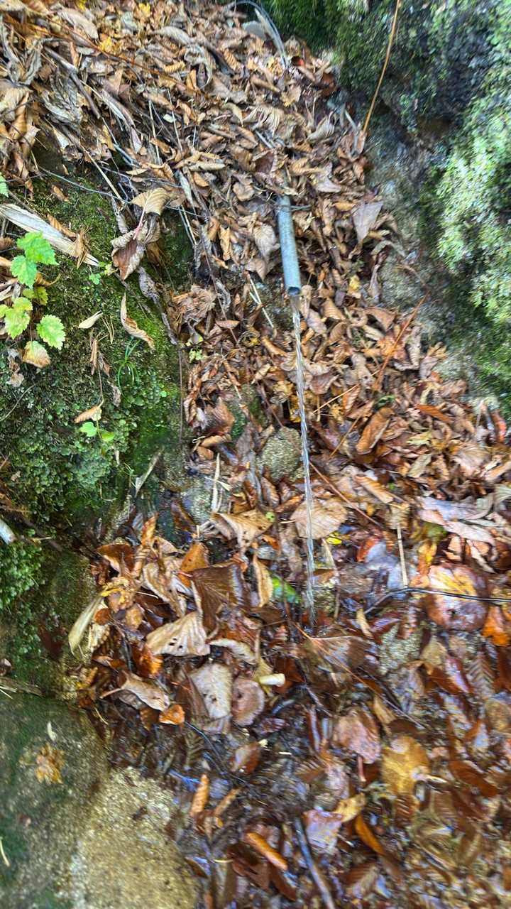 会津駒ヶ岳・中門岳、草紅葉広がる稜線へ の写真 24