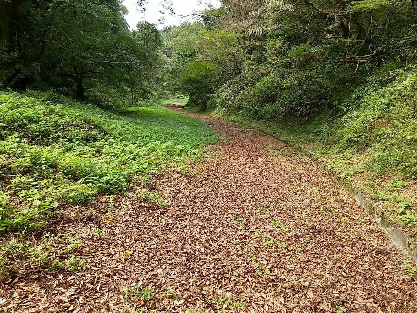 🍂秋の気配😄