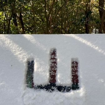 行きはなかったので、これはもしや