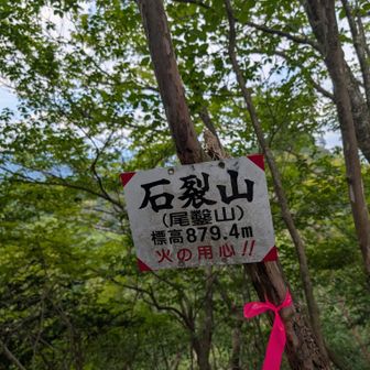 この看板と三角点がそっけなく登頂を教えてくれた。
