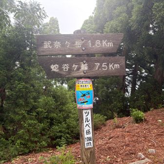 ツルベ岳　1086m