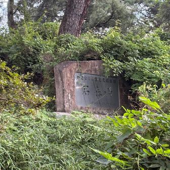 看板みっけ
ここがメインルート⁉️
