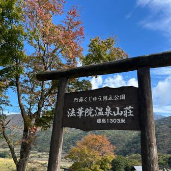 🍁色付いてます