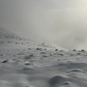 真っ白の中を進みます