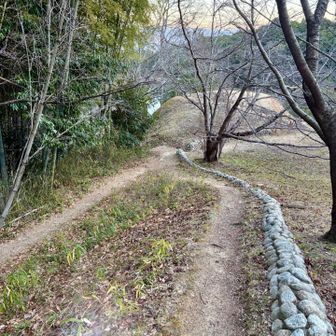 やっと鳥谷口古墳迄降りて来ました。
左のルート⬅️は大師匠と登ったトトロルート