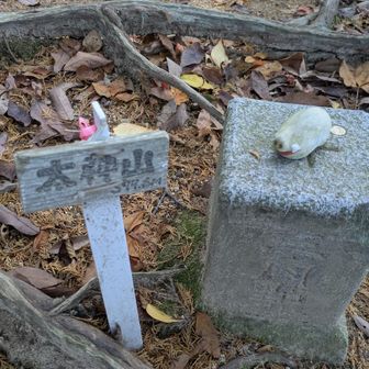 太神山（たなかみやま）到着〜✨
ちなみに田上山（たなかみやま）は滋賀県大津市南部にある山系の総称