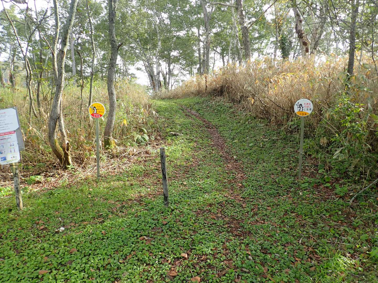 登山道の様子