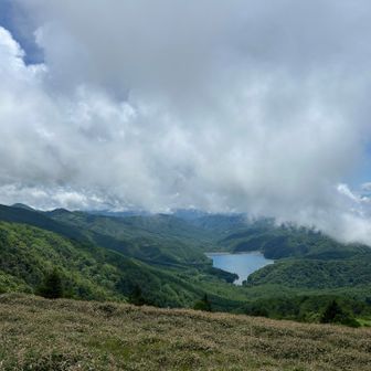 富士山は残念