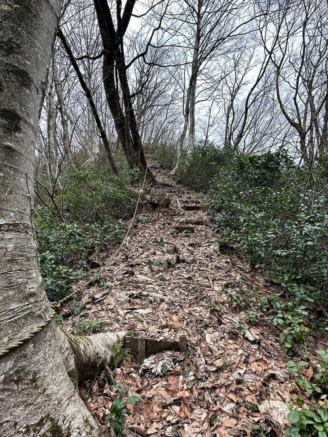 程よく急な箇所🚶