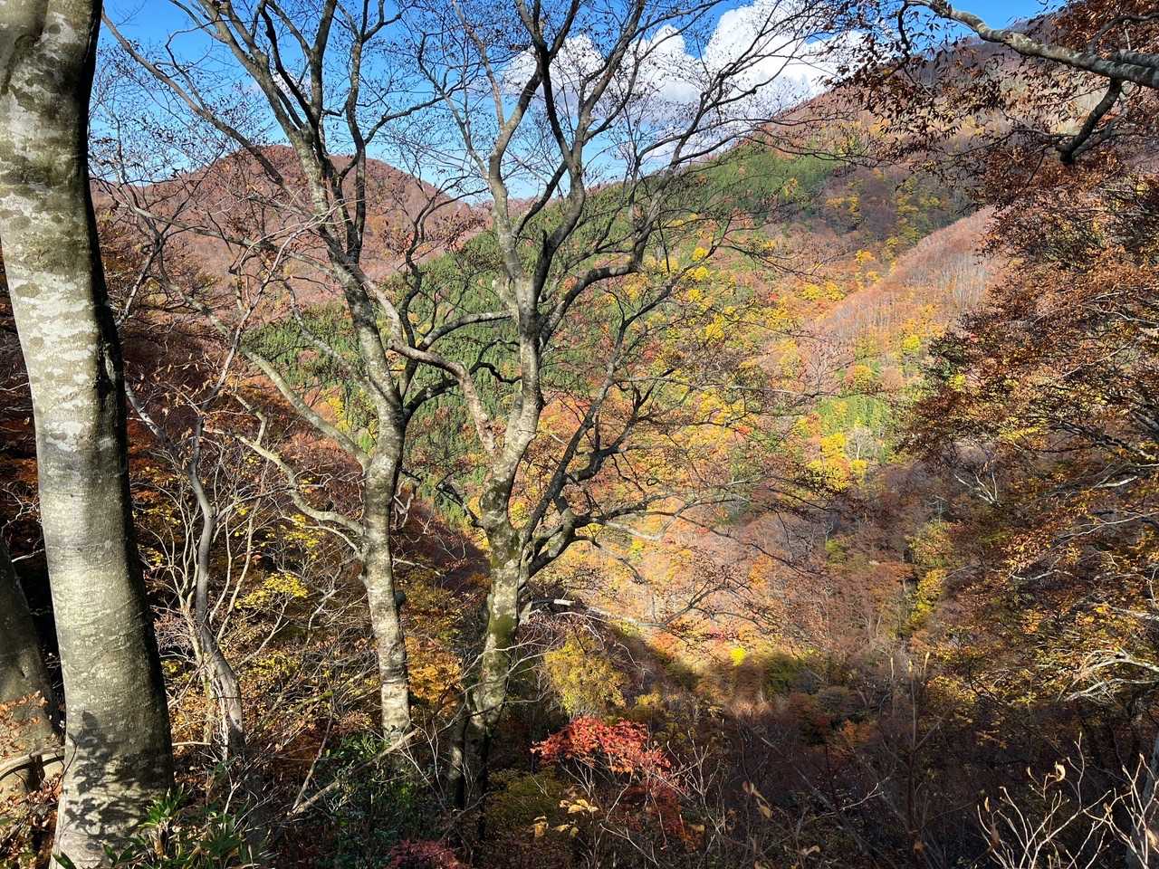 菅名岳（いずみの里奥登山者用駐車場）<どっぱら清水コース>の写真