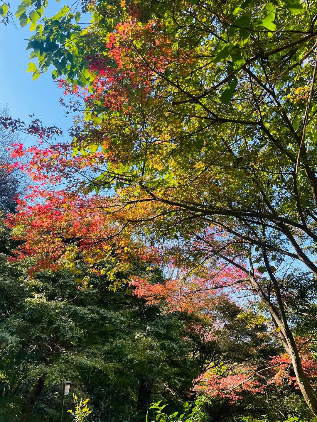 今日もありがとう！