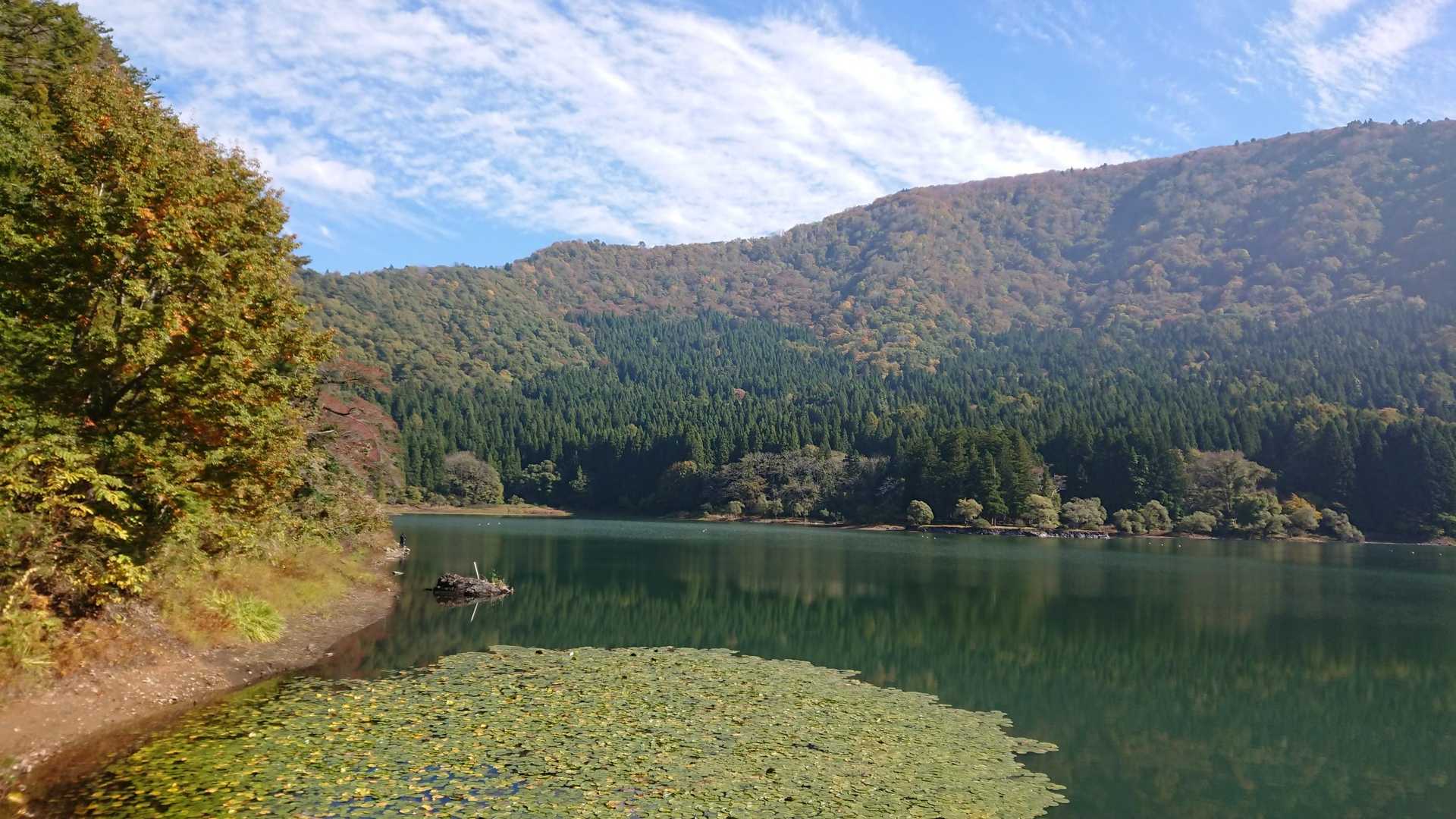 小菅神社-小菅山 周回コースの写真