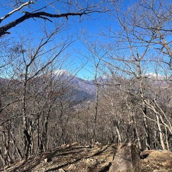 皆んなでお弁当🍙🍜🍞食べますか〜🎶
山頂は4℃と寒かったです🥶
（速攻上着着て、降り始まったらすぐ脱ぐっていうバタバタ😂）