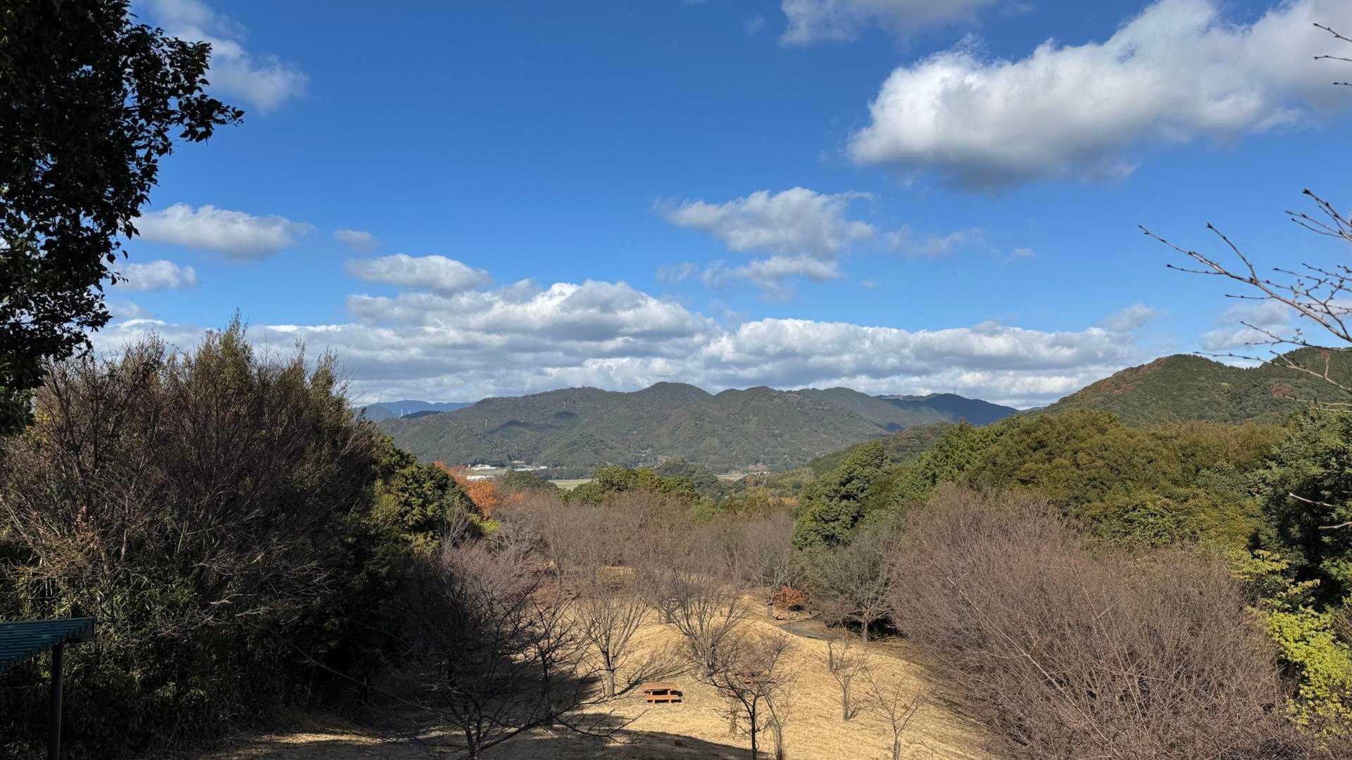 大平山登山口-大平山 往復コースの写真