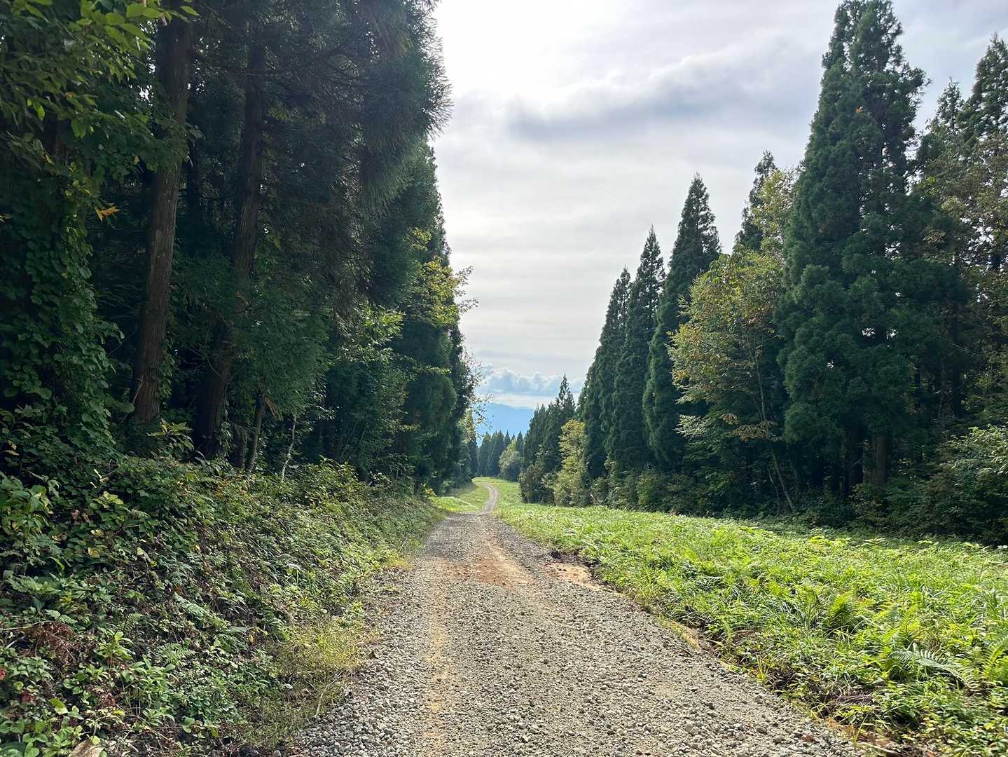 ここ長〜い！！😂
パラダイスコースの平な場所
冬場もスキーでも長いけど…
走りだともっと長い‼️😭

普段アスファルトばかり走ってるから砂利の下りの走り難いこと〜😂