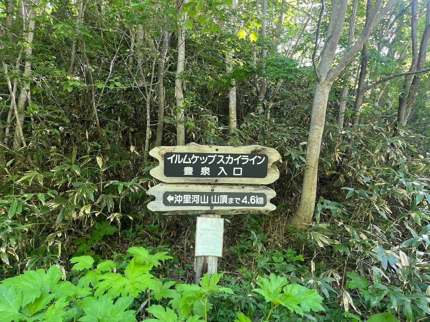 しばらくは林道歩きます