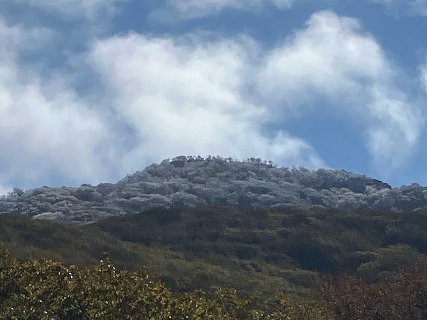 山頂付近は白く、樹氷ですね‼️
解けないうちに、早ぁ〜く‼️