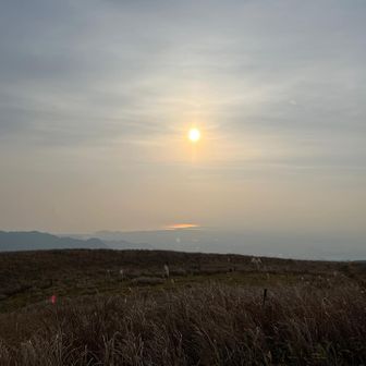 どこ見てもいいね👍