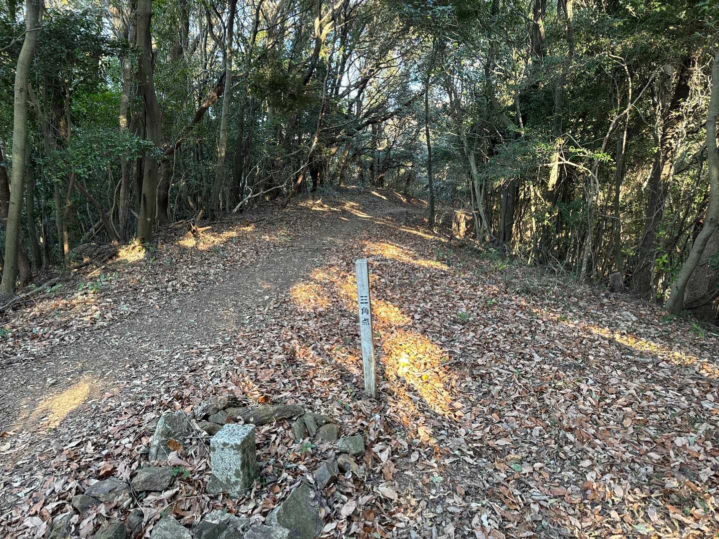 ど真ん中の四等三角点。