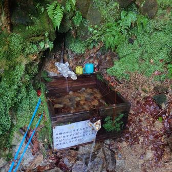峰秀水の水場💧
しっかりと出ていました
美味しかったのでボトルの水を入れ替えました👍