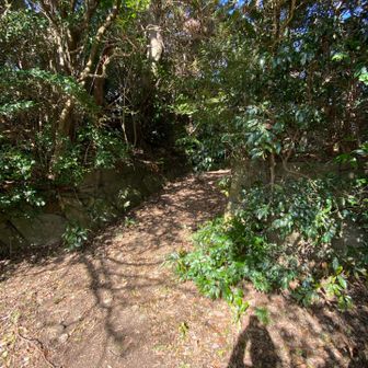 石垣があると思ったら古い墓地だった