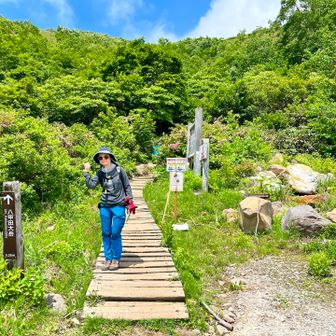 無事下山🚩

がっつり晴れてるし😅
あのガスガスはなんだったんだ〜

試練？
Homeとか言っておきながら半年以上も来なかったから八甲田の神がお怒り？
まぁ、お花たくさん見られたからいいべ

そんな他愛のないコトを相方と言いながら
温泉に向かったとさ🚙🎶

…おしまい😅💦

ちなみに
その後大岳が姿を見せることはありませんでした
（酸ヶ湯から帰るときも、家に帰ってきてから八甲田方面見ても、大岳はずっと雲で隠れたままだった😶‍🌫️）