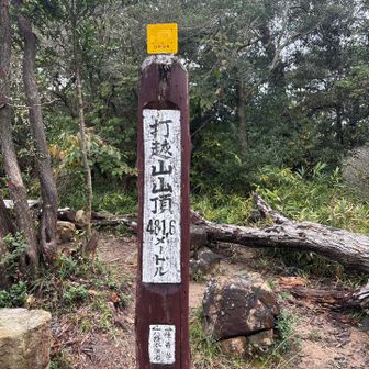 ベンチだけ、展望無し！