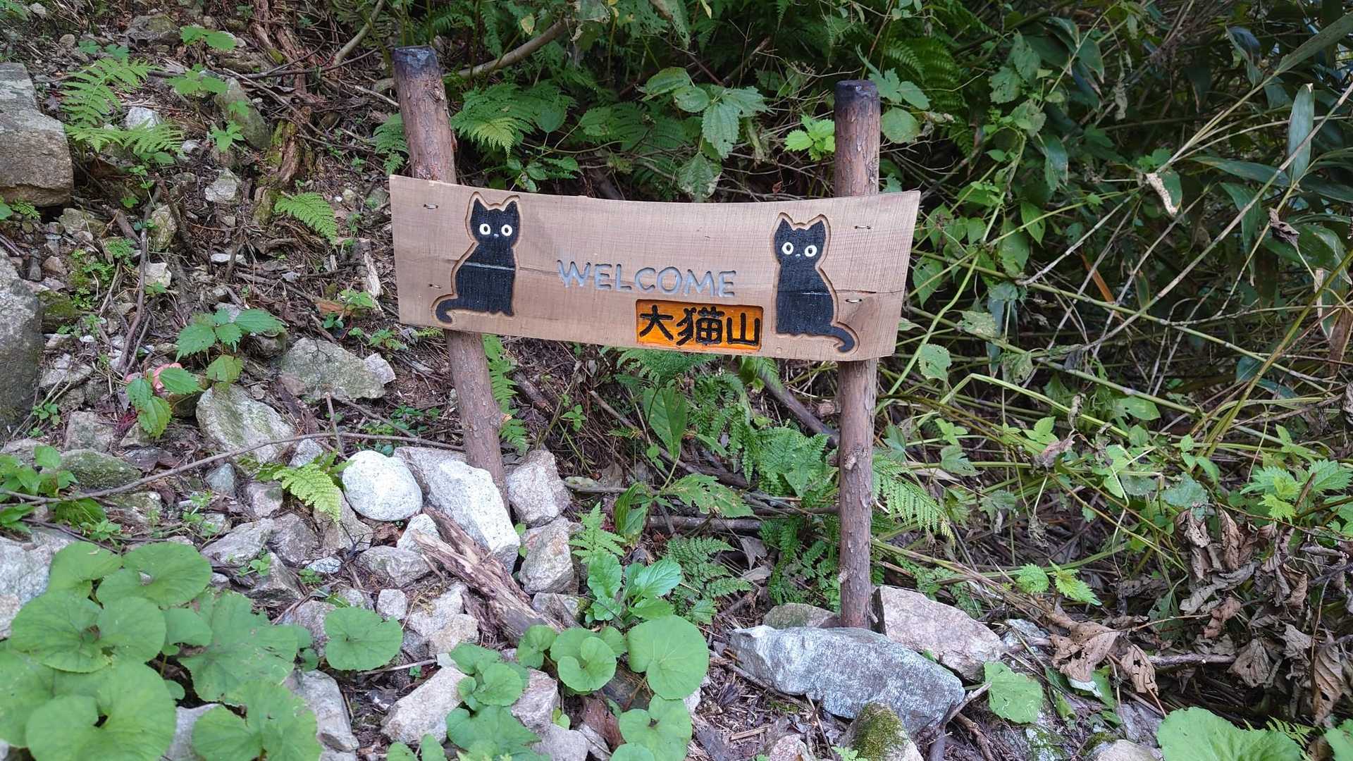 可愛い看板😺今度はこちらから（笑）大猫山から猫又山迄は、刈払していないそうです。
