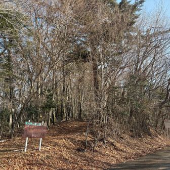 さてお願い致します