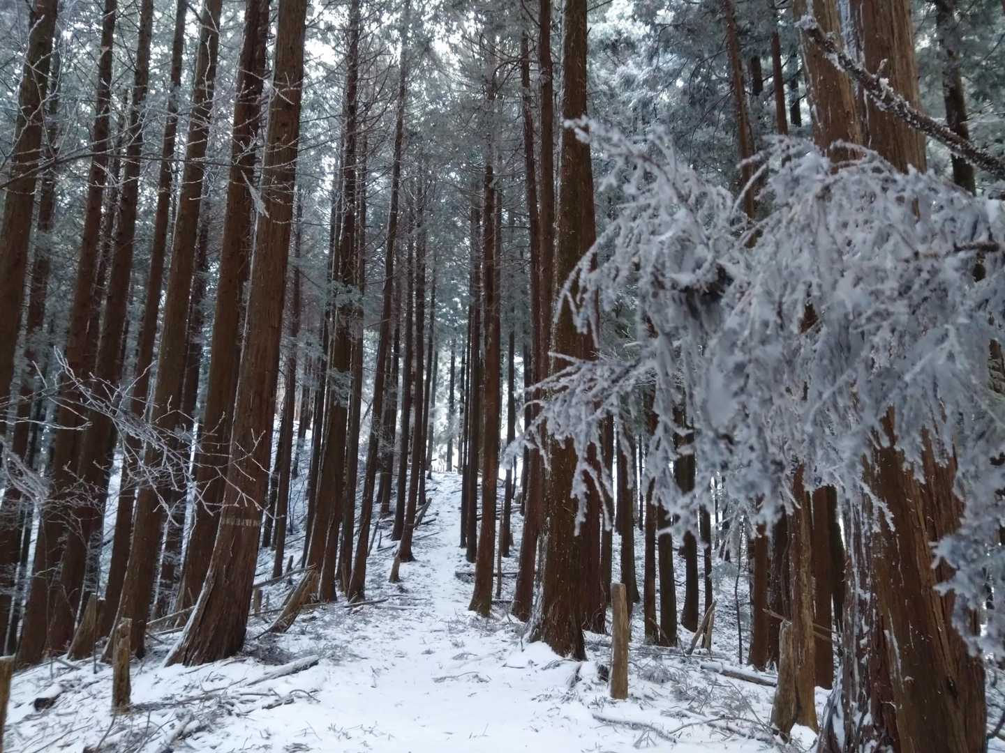 走りたくなる🏃
走らんけど