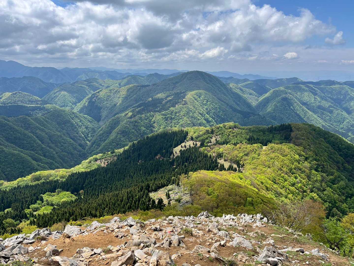 今畑登山口-笹峠-霊仙山最高点 往復コースの写真