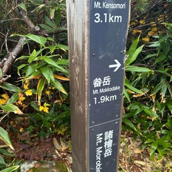 諸檜岳！