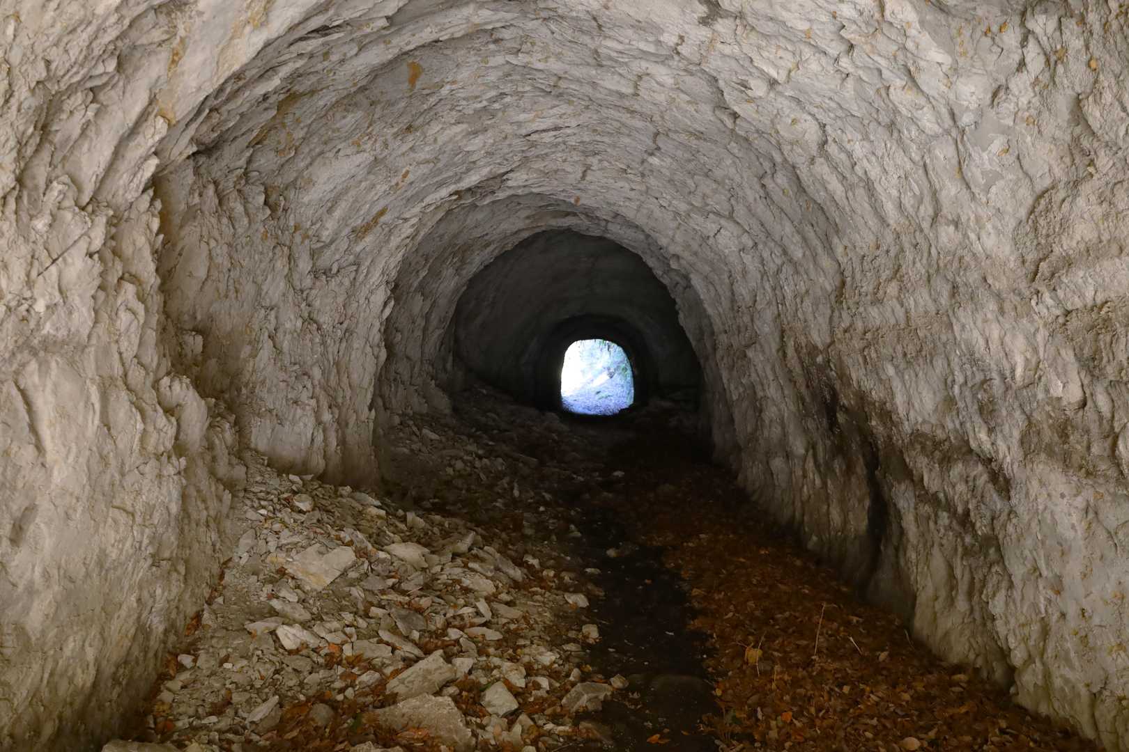 隧道の中はこんな感じです。